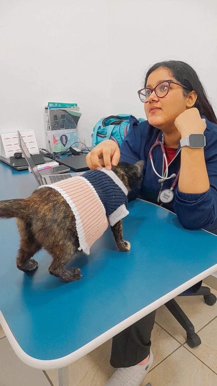 Dra. Raquel Aguiar atendendo pet